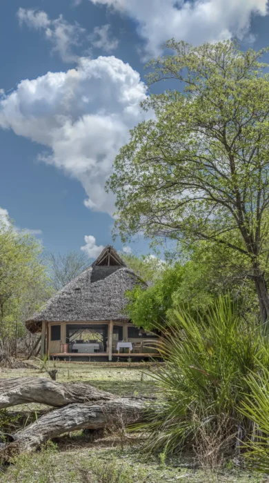 tented suite, siwandu camp, nyerere national park, tanzania