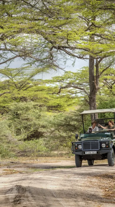 game drive, siwandu camp, nyerere national park, tanzania