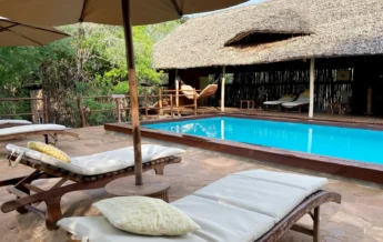 Pool, Selous Impala Camp, Nyerere, Tanzania