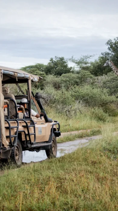 Game Drive, Selous Impala Camp, Nyerere, Tanzania