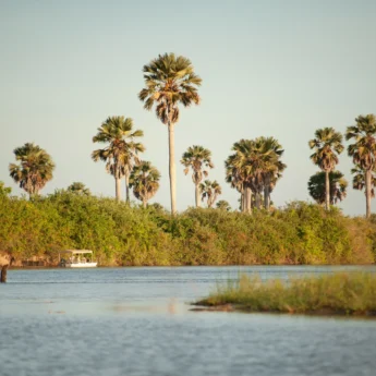 A water level shot of a bend in the river, Selous Impala Camp, Nyerere, Tanzania - Yellow Zebra Safari