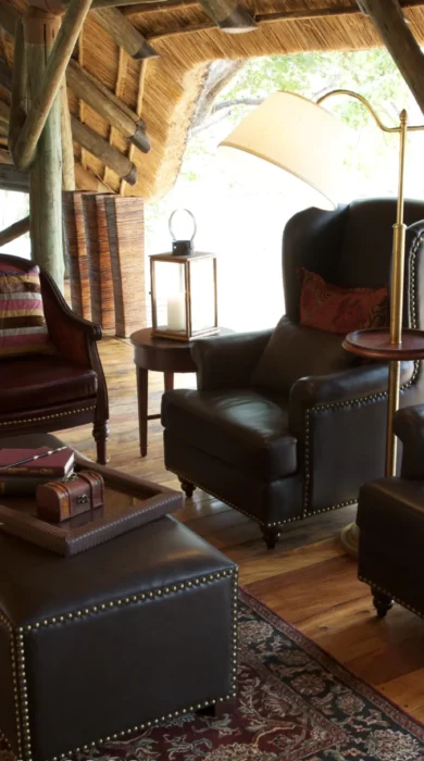 Selous Wildlife Lodge Lounge 2