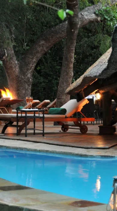 selous serena pool at dusk