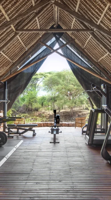 gym, jongomero camp, ruaha national park, tanzania