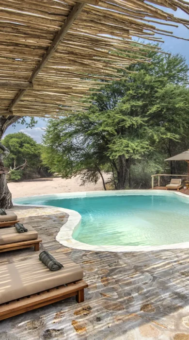 swimming pool area, jongomero camp, ruaha national park, tanzania