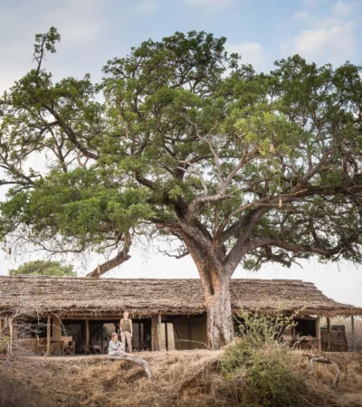 Family room, kigelia ruaha, tanzania