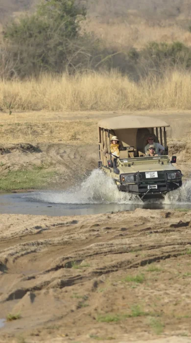 ikuka safari camp game drive tanzania yellow zebra safaris