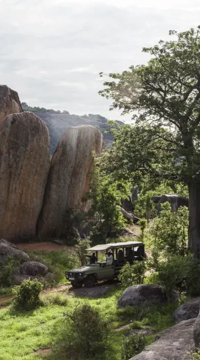 jabali ridge game drive