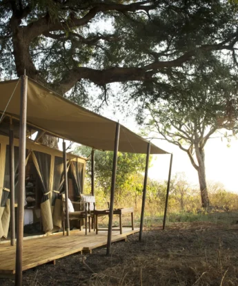 chada katavi camp tanzania outside yellow zebra safaris