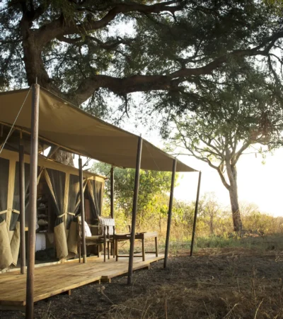 chada katavi camp tanzania outside yellow zebra safaris
