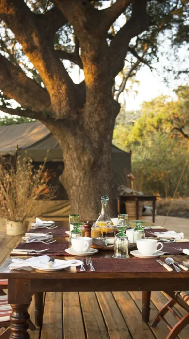 chada katavi camp tanzania dining yellow zebra safaris