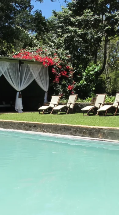 Pool, Ngare Sero Mountain Lodge, Arusha, Tanzania