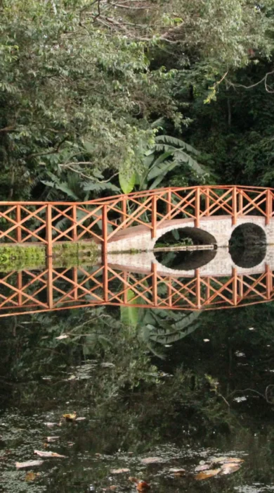 Footbridge