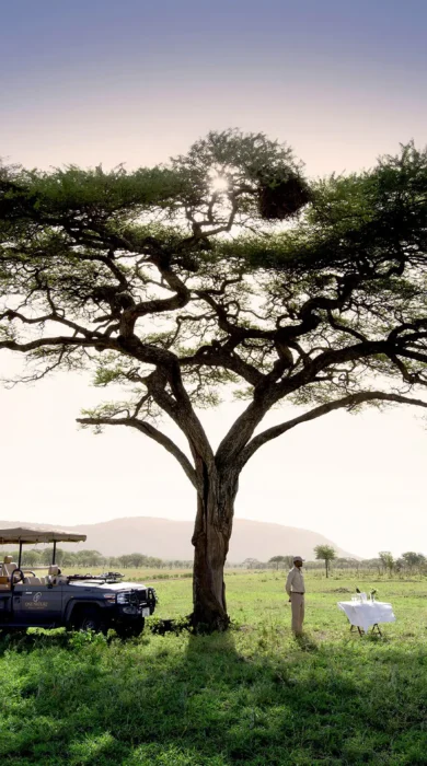 game drive vehicle