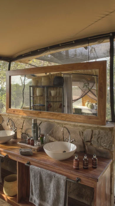 roho y selous bathroom tanzania yellow zebra safaris