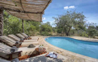 roho y selous pool tanzania yellow zebra safaris