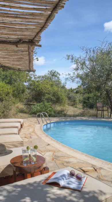 roho y selous pool tanzania yellow zebra safaris