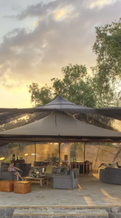 roho y selous lounge tanzania yellow zebra safaris