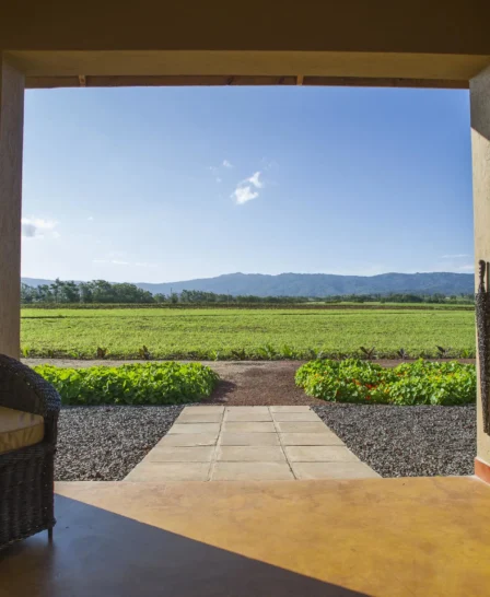 Farm House Valley View from the room