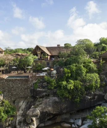 mwiba lodge tanzania yellow zebra safaris