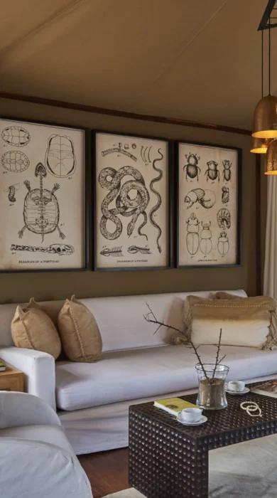 room lounge mwiba lodge tanzania yellow zebra safaris