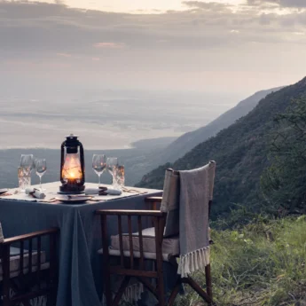 private dinner mwiba lodge tanzania yellow zebra safaris
