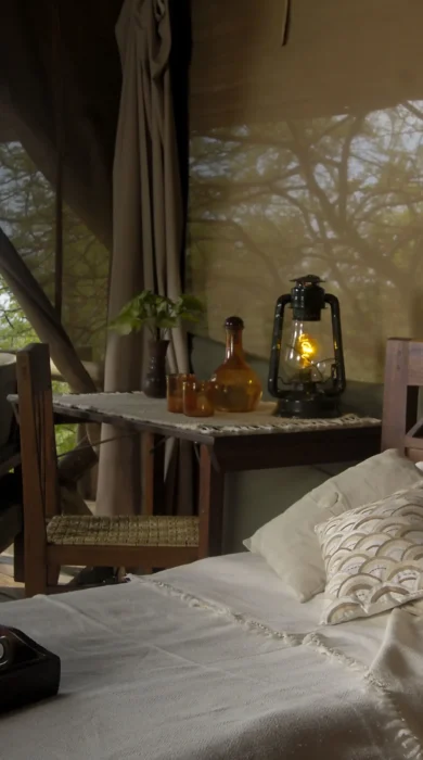 CGC1288