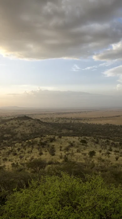 Soroi Views