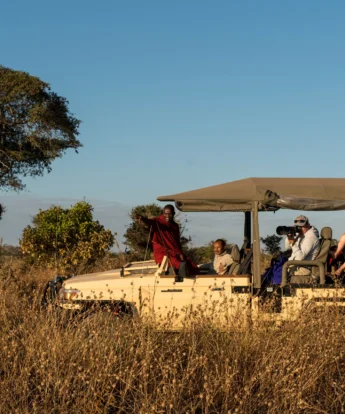 Lemala Mpingo Ridge Game Drive