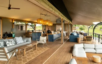 lemala nanyukie lodge view tanzania yellow zebra safaris