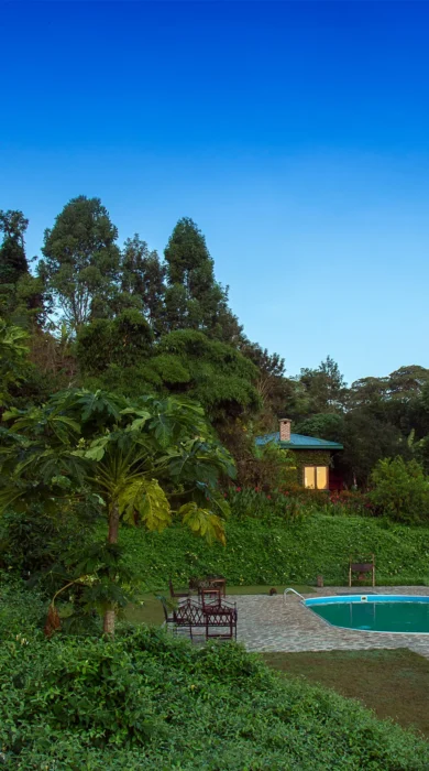 pool view