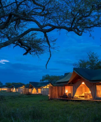 asanja moru night camp