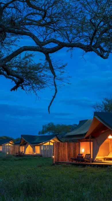 asanja moru night camp