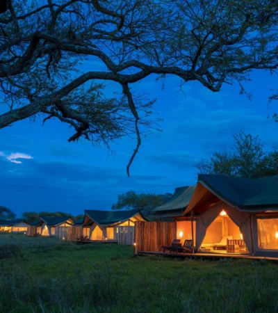 asanja moru night camp