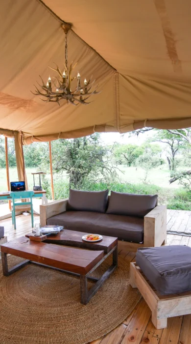 asanja grumeti main area tanzania yellow zebra safaris
