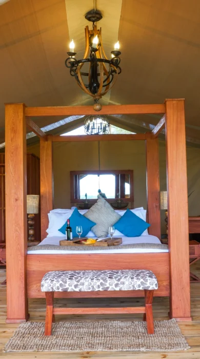 asanja grumeti double dinner tanzania yellow zebra safaris