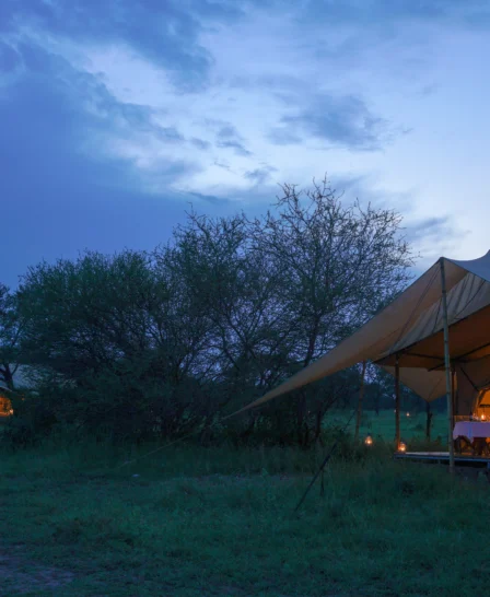 Grumeti main tents