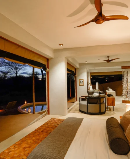 asanja ruaha bedrom area tanzania yellow zebra safaris