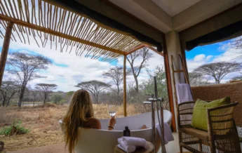 asanja ruaha bath tanzania yellow zebra safaris