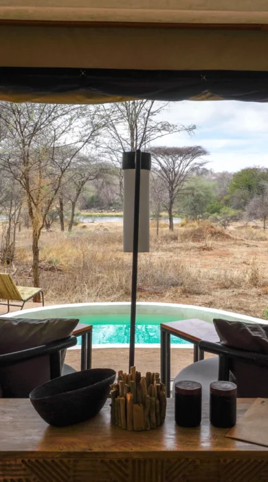 asanja ruaha main area tanzania yellow zebra safaris