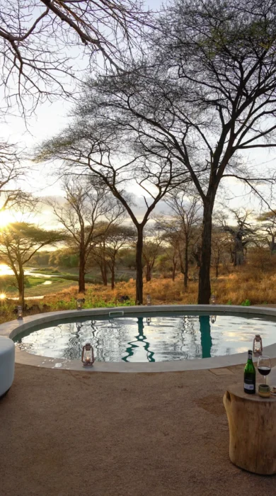 asanja ruaha pool area tanzania yellow zebra safaris