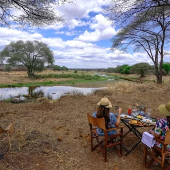 asanja ruaha bush dinner tanzania yellow zebra safaris