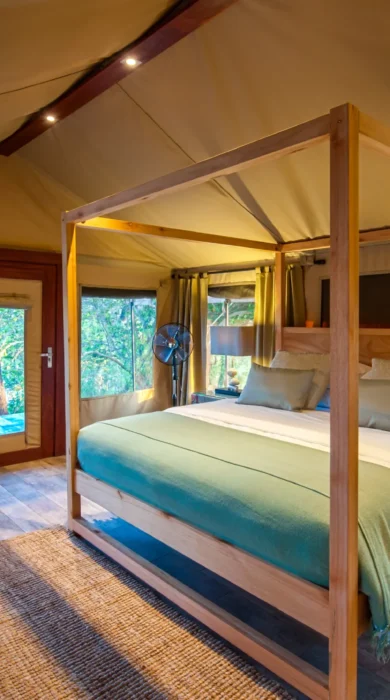 Nimali Tarangire king room