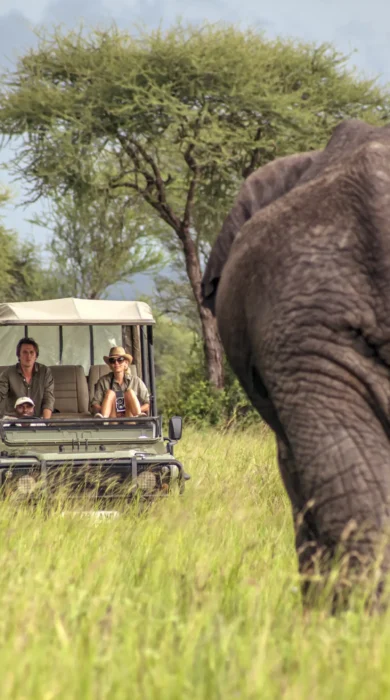 Game drive tanzania