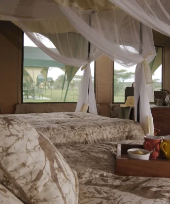 Kirurumu serengeti camp tent views