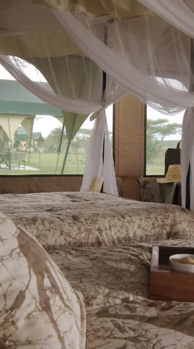 Kirurumu serengeti camp tent views