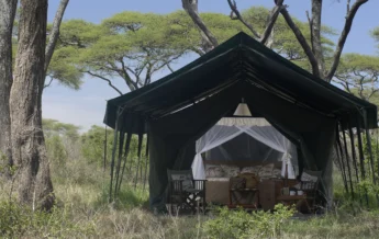 Remote tent in the serengeti