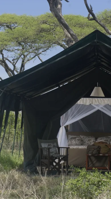 Remote tent in the serengeti