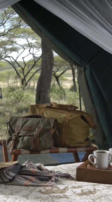 Serengeti plains tent view