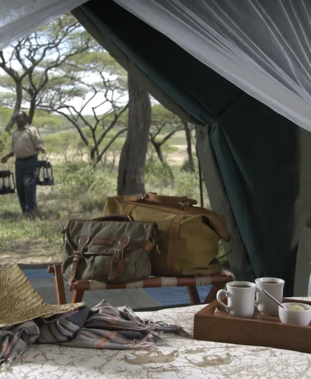 Serengeti plains tent view